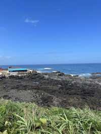 濟州島必去牛島！！