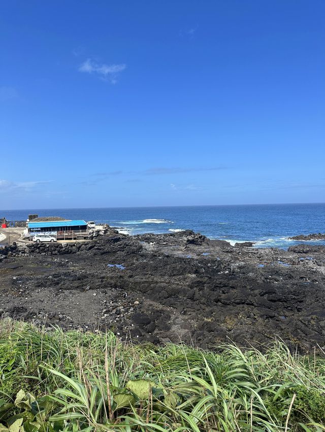 濟州島必去牛島！！