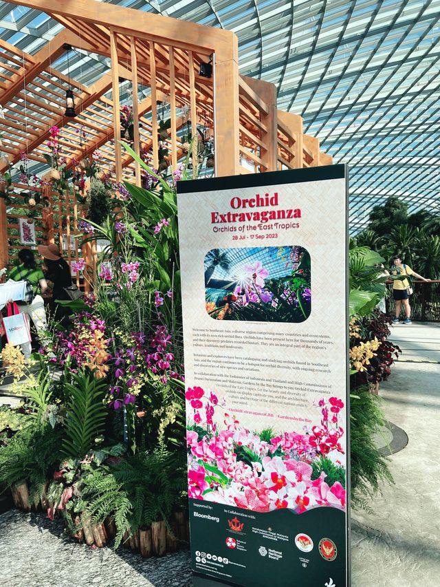 Incredible & Mesmerizing Flower Domes 
