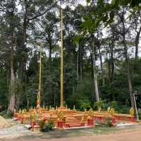 Whispers of Wisdom: Pagoda and School