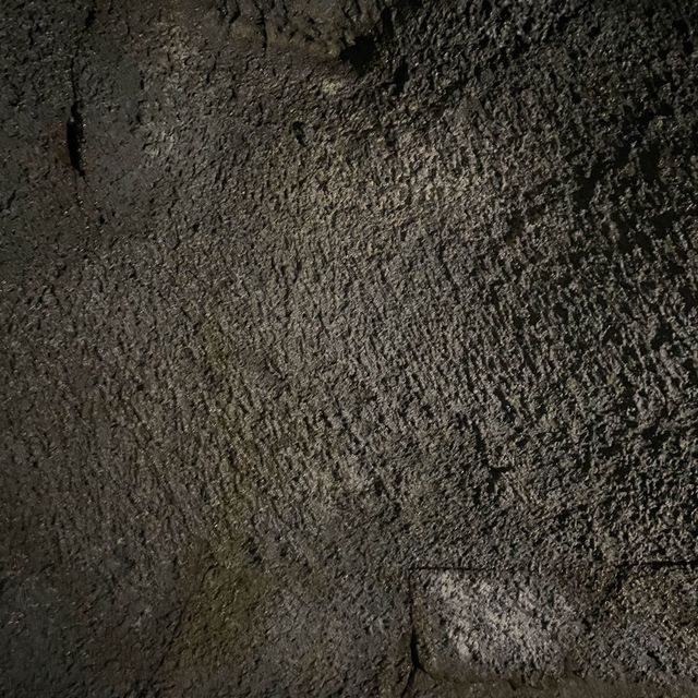 富岳風穴 WIND CAVE