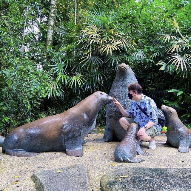A Touch With Wildlife- SG Zoo !