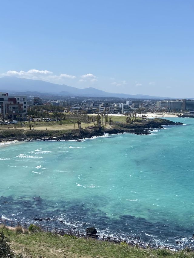 혼자서 제주 5박 6일!🍊 제주 곳곳 혼여행 추천지🫧💚