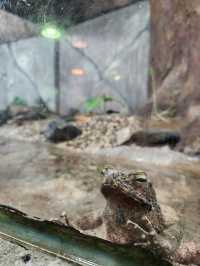 Entopia by Penang Butterfly Farm ✨