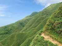 宜蘭礁溪聖母登山步道｜一睹抹茶山的風采，超級美