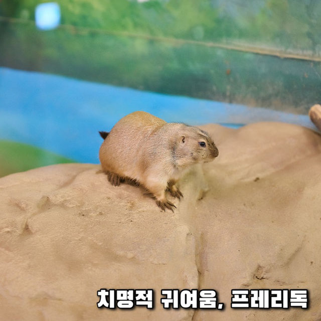 동심 찾으러 떠나요, 코엑스 아쿠아리움 🫧