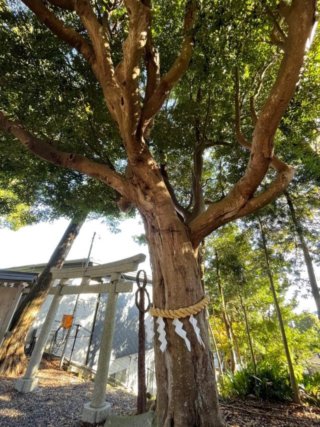 【千葉県/玉前神社】漆黒の社殿が荘厳たる神社