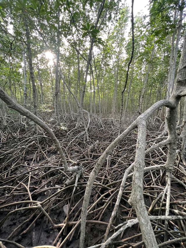 วนอุทยาน​ปราณบุรี​ แนบชิดธรรมชาติ​