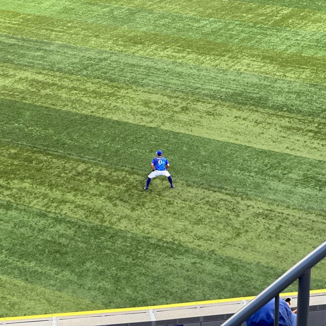 【神奈川】横浜スタジアムでの夏の一日、ベイスターズの輝き