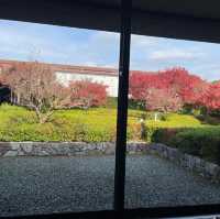 「有田陶瓷文化館」免費參觀，享受咖啡與美景。推薦來訪