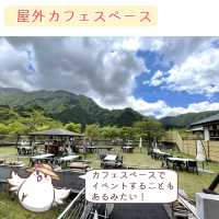 【静岡】梅ヶ島温泉郷　立ち寄りスポット5選