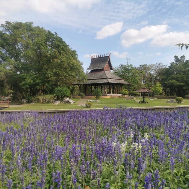 ออกเดทที่สวนหลวง​ร.9​ กทม.