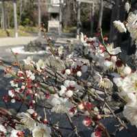 【福岡】博多駅利用の際は旅の安全祈願に