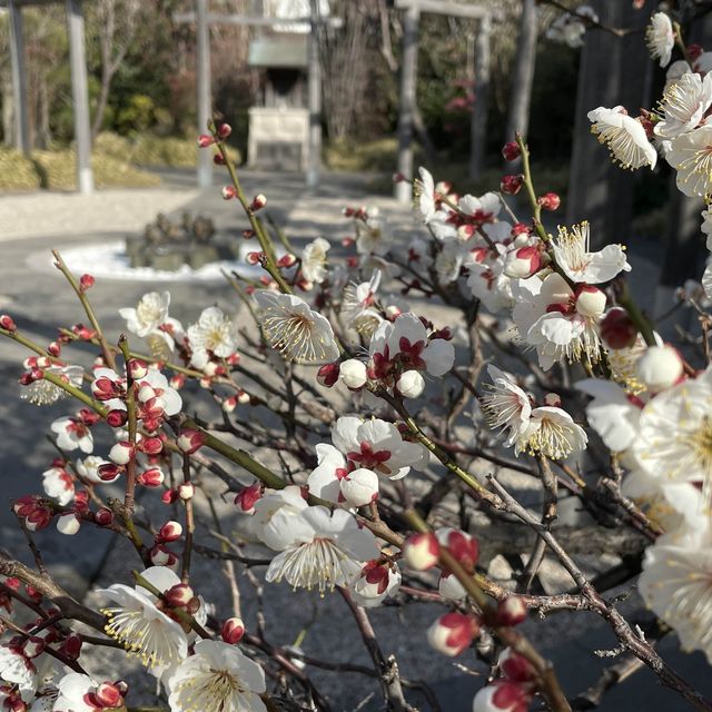 【福岡】博多駅利用の際は旅の安全祈願に