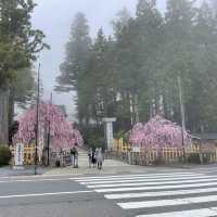 【和歌山】弘法大師がひらいた金剛峯寺