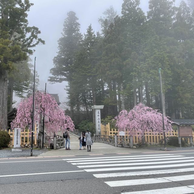 【和歌山】弘法大師がひらいた金剛峯寺