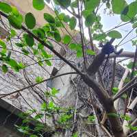 大隱隱於市，藏於民宅的藝術禪寺。