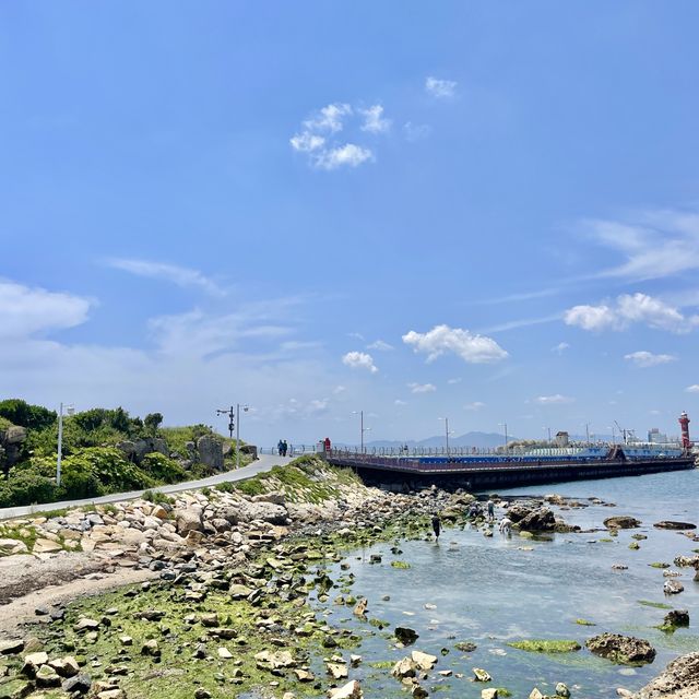 울산의 최고 힐링장소 슬도 💙