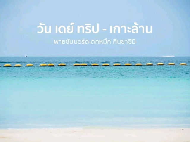 แบงค์แเดงสี่ใบมีทอน ตกหมึก + กินซาชิมิ บนเรือส่วนตัวแล้ว !!!