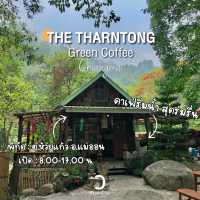 “The Tharntong Green Coffee” 