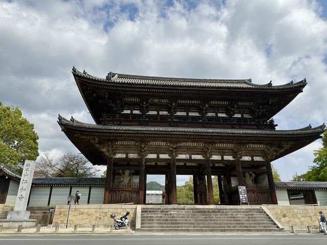 見どころ満載 仁和寺