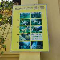 The Oldest Antong Coffee Factory in Malaysia 