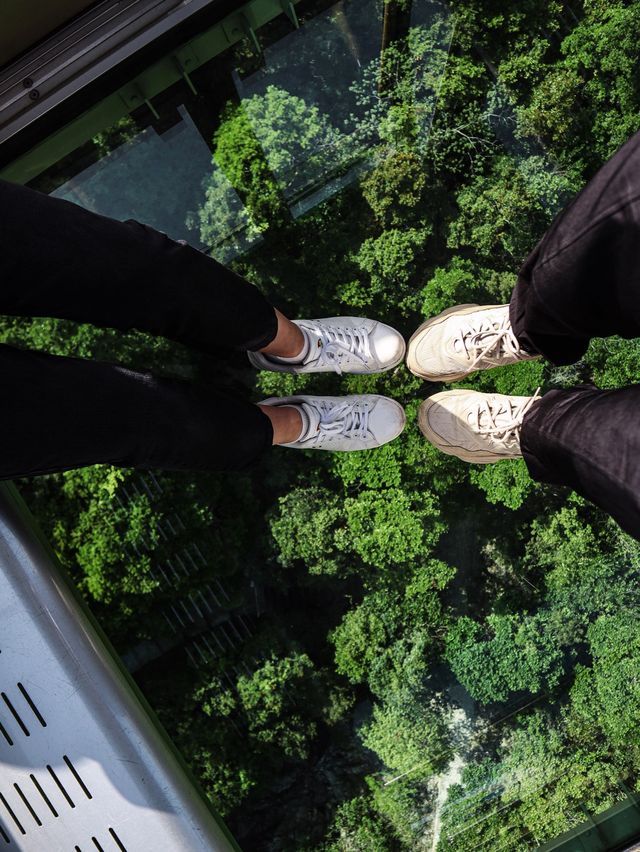 香港昂坪360｜坐上全景透明纜車飛越山海🚡