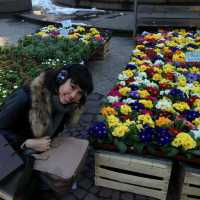 Places To Visit In Frankfurt