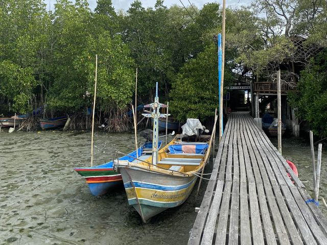 สะพานไม้ บานา @ปัตตานี