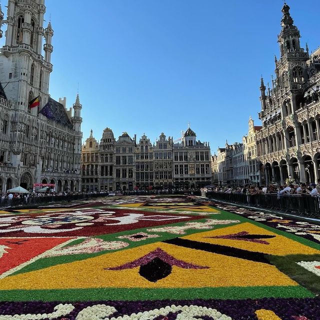 BRUSSELS, BELGIUM🇧🇪 (Flower Carpet)