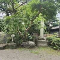 Beautiful Buddhist temple 