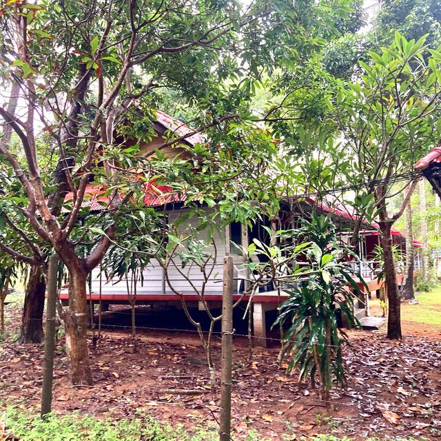 Sukorn Andaman Beach Resort1 