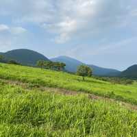 日本🇯🇵｜穿過綠地與森林，登上大分的｢富士山｣ 由布岳 ⛰️
