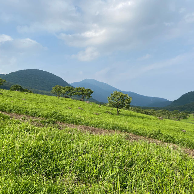 日本🇯🇵｜穿過綠地與森林，登上大分的｢富士山｣ 由布岳 ⛰️