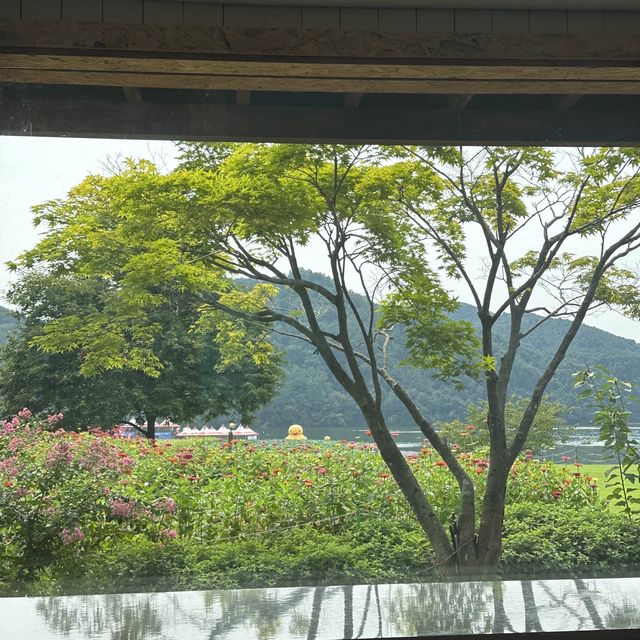 가평 북한강뷰 카페, comehome 🏠