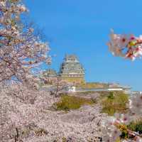 世界遺産　姫路城