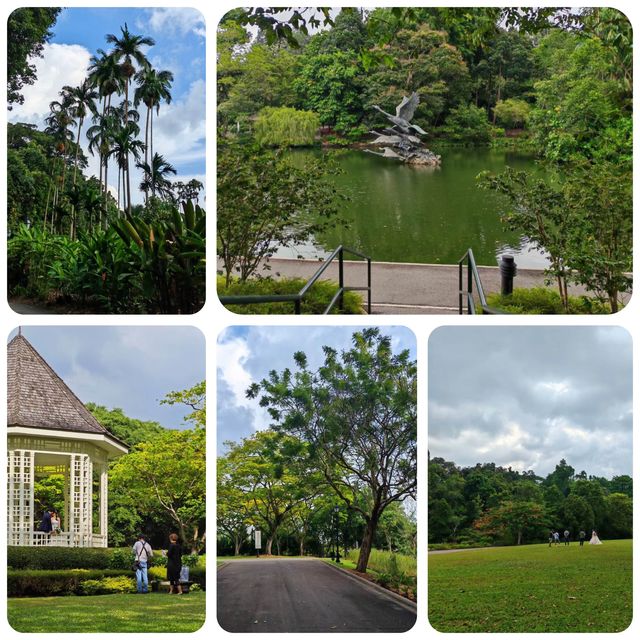 綠色天堂中的浪漫邂逅！🌿💍 新加坡植物園📸💑