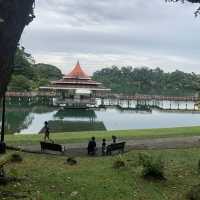 MacRitchie Reservoir ☀️🍀