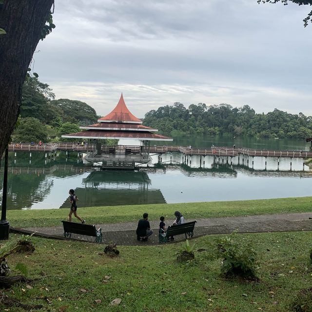 MacRitchie Reservoir ☀️🍀