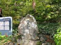등린이를 위한 제주 한라산 영실코스