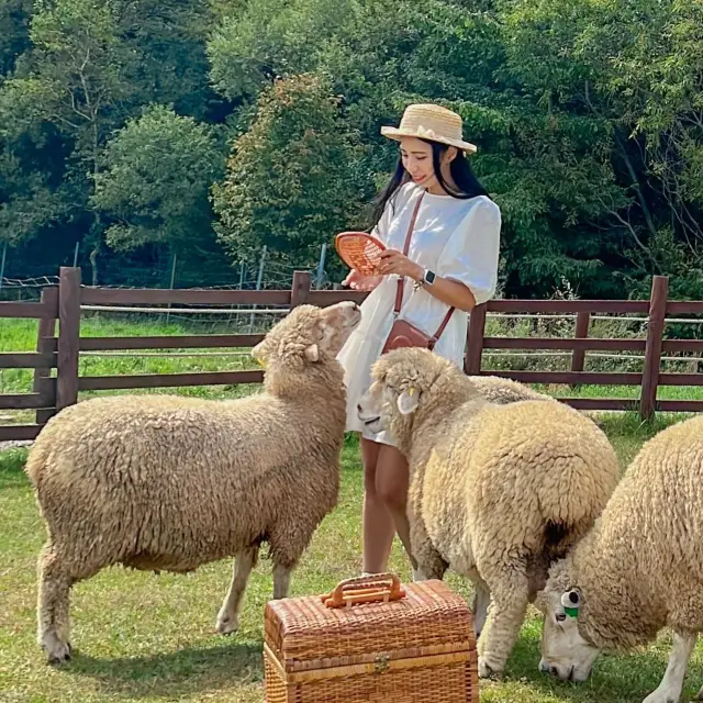 🐑 서울에서 딱 두시간‼️ 당일치기 스위스여행… K….