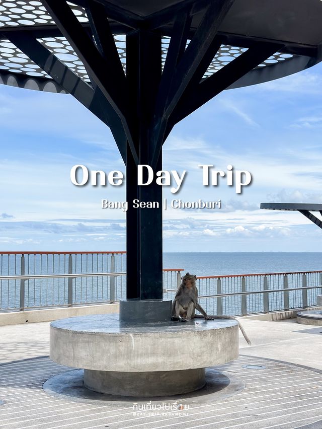 🐠🌴 เที่ยว 1 Day Trip ที่บางแสนแบบชิลๆ