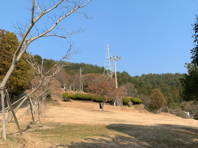 국내 가볼만한곳, 통영 “이순신공원”✈️