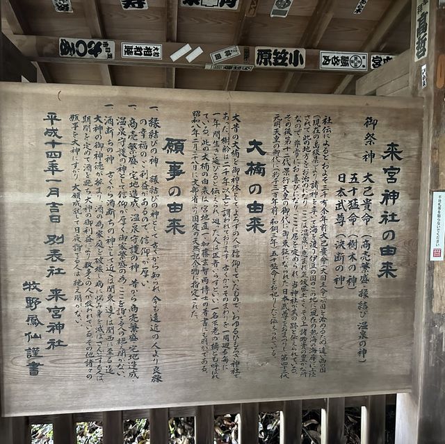 パワースポットの来宮神社