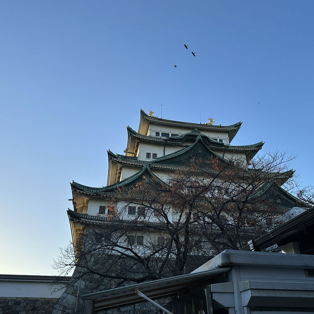 名古屋城で鯱鉾見よう！