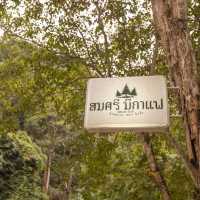 นอนฟังเสียงน้ำ มองต้นไม้เขียวล้อม ผ่อนคลายชิลๆ