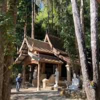 นั่งสมาธิธรรมชาติบำบัด ที่วัดผาลาด