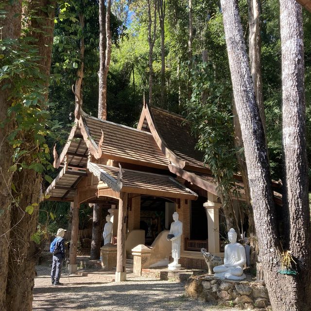 นั่งสมาธิธรรมชาติบำบัด ที่วัดผาลาด