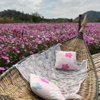 น้องบุญทิ้งนนท์ศิลาฟาร์ม 