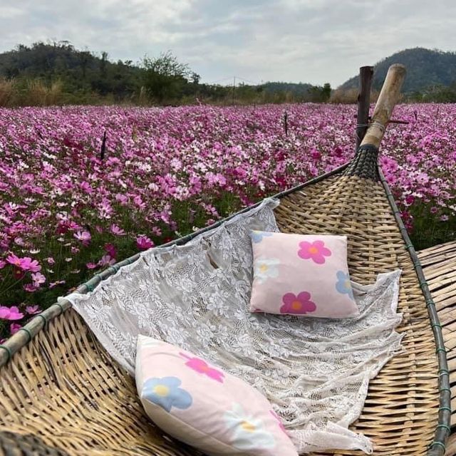 น้องบุญทิ้งนนท์ศิลาฟาร์ม 